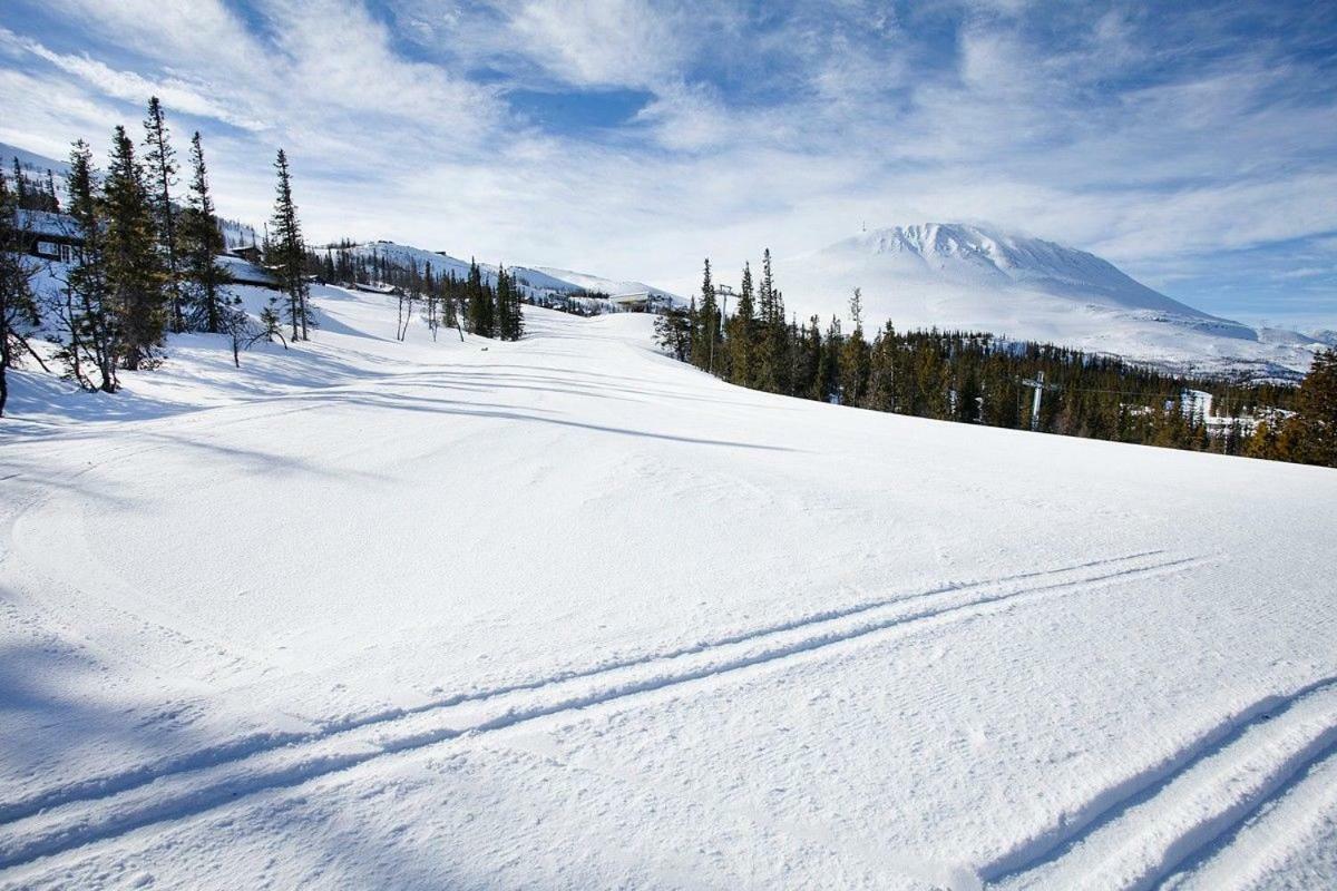 Gaustatoppen Apartment Rjukan Dış mekan fotoğraf